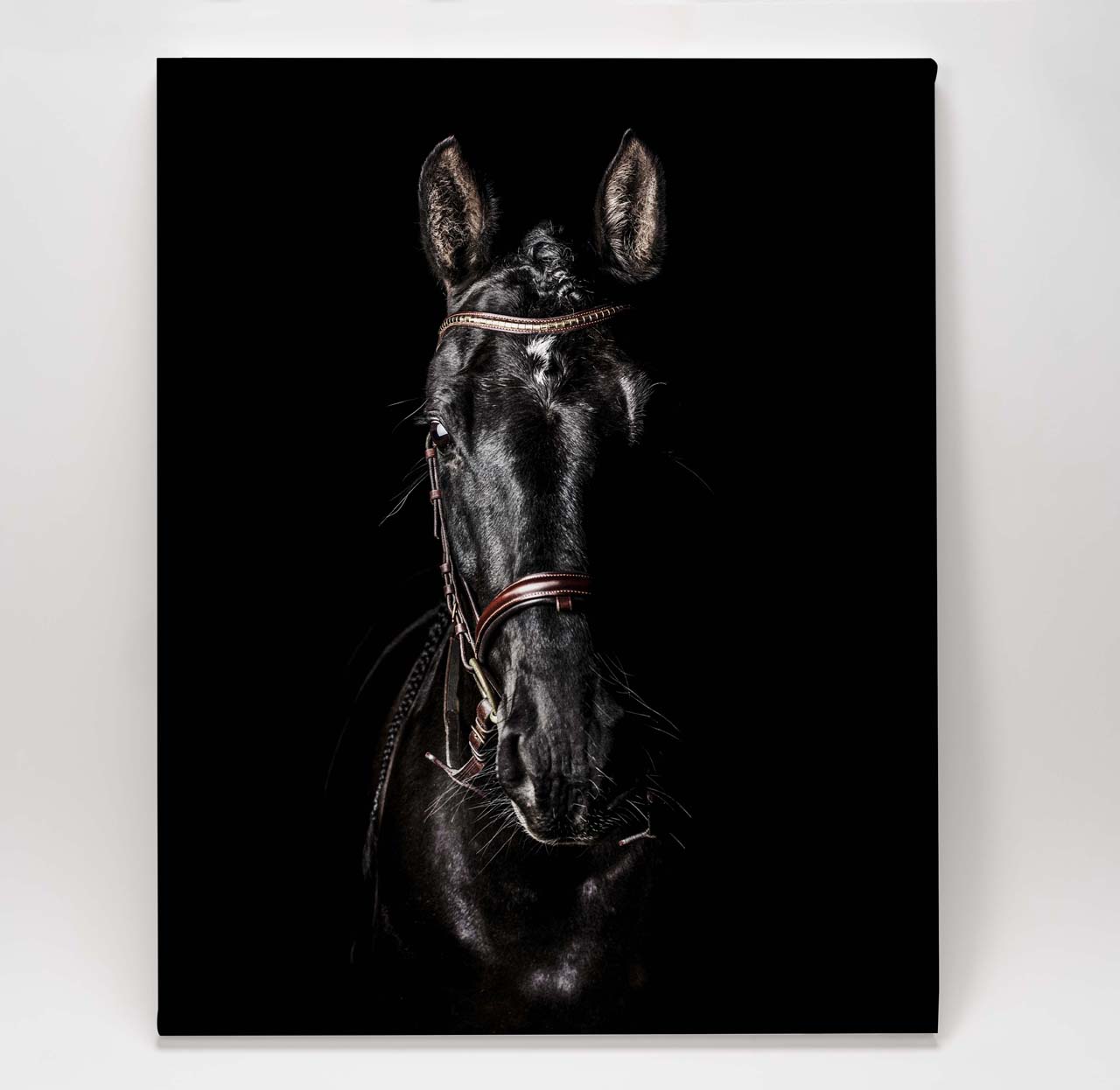 Black Horse Self Portrait