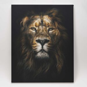 King of the Jungle - Lion Portrait