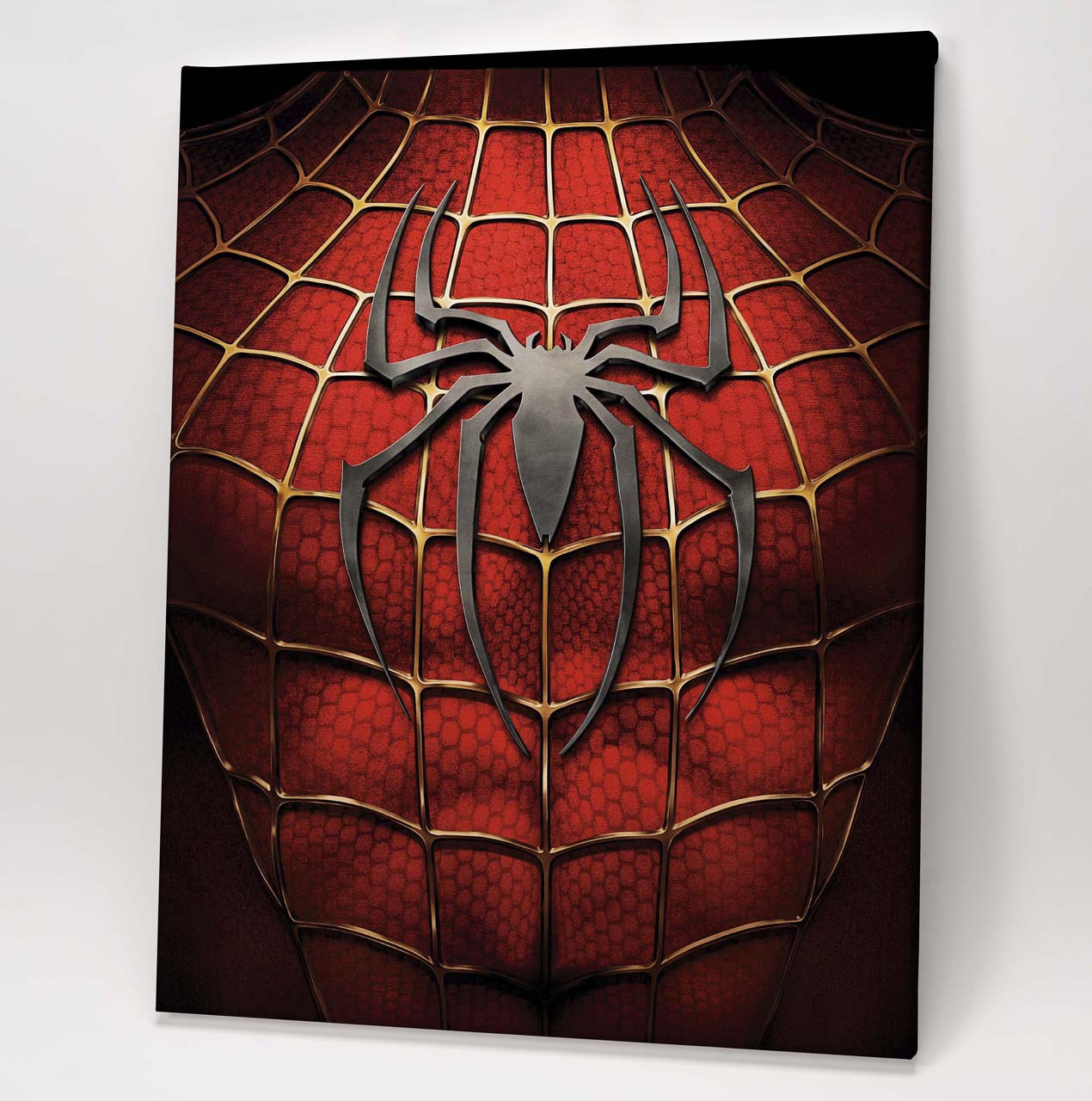 Spiderman - With Great Power Comes Great Responsibility - Image 2